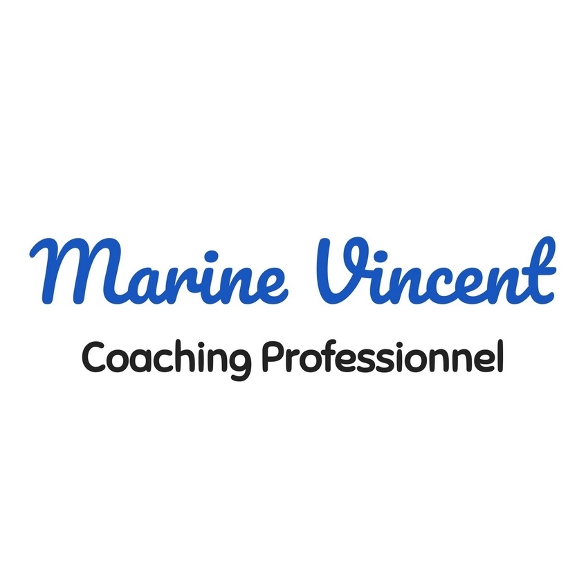 Logo Marine Vincent Coaching Professionnel